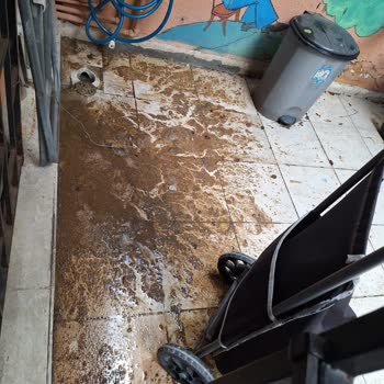 Acil Müdahale Bekleyen Bahçe Felaketi