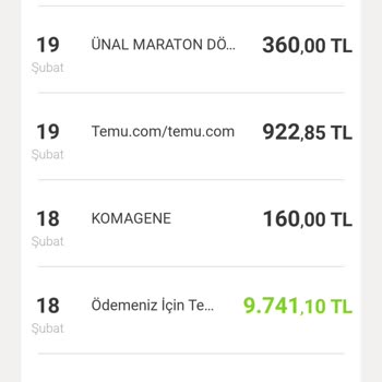 Temu Alışverişinde Fazla Para Çekimi Ve İade Talebi