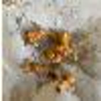 Tavuk Dönerde Kıkırdak Şoku