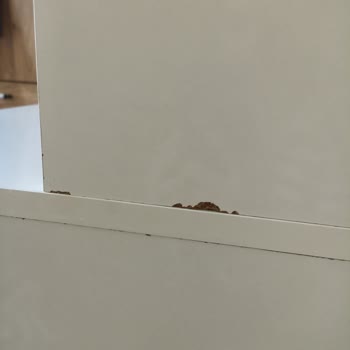 Marka Mobilyam Çalışma Masası Aldım Her Yeri Defolu Geldi