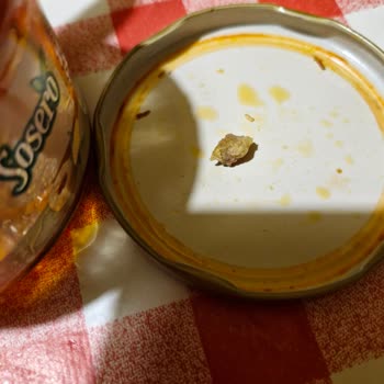 Zeytin Salatasında Çekirdek Sürprizi