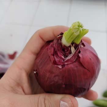 Migros'tan Gelen Bozuk Ürünler Ve Yanıltıcı İade Süreci