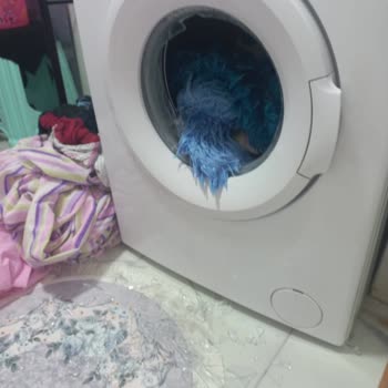 SEG Çamaşır Makinesi Patlama Tehlikesi