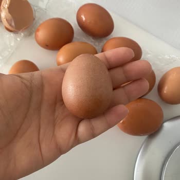 Yanıltıcı Boyut Ve Kalite: Natura Köy Çiftliği Yumurtaları