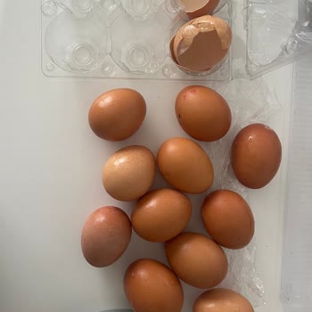 Yanıltıcı Boyut Ve Kalite: Natura Köy Çiftliği Yumurtaları