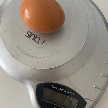 Yanıltıcı Boyut Ve Kalite: Natura Köy Çiftliği Yumurtaları