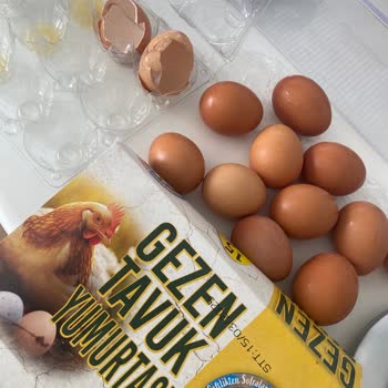 Yanıltıcı Boyut Ve Kalite: Natura Köy Çiftliği Yumurtaları