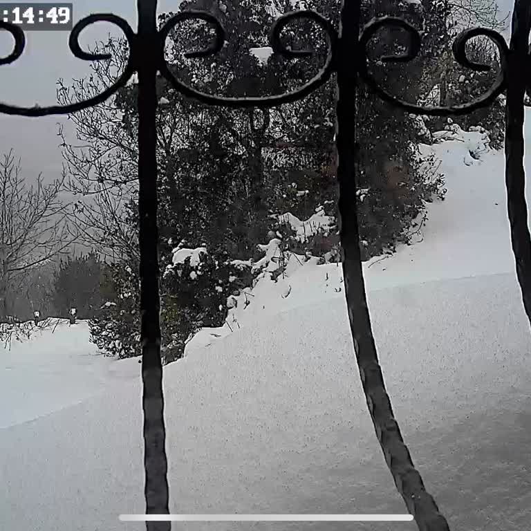 Kar Engeli: Ulaşılamayan Ev Ve İhmaller