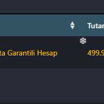 E-posta Garantili Hesap Onayı 32 Saattir Bekliyor