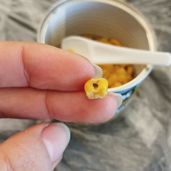 Tukaş Konservesinde Şok Edici Sinek Sürprizi