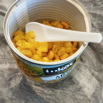 Tukaş Konservesinde Şok Edici Sinek Sürprizi