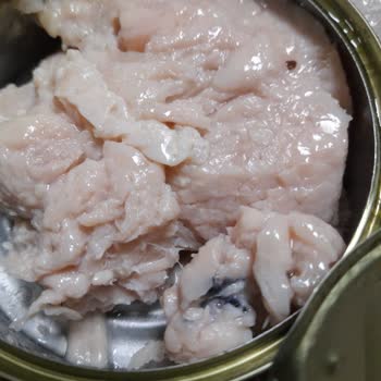 Bozuk Hindi Eti Ve İlgisiz Müşteri Hizmeti