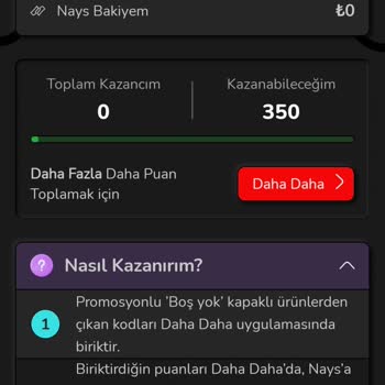 Nays Bakiyeleri Kullanımında Limit Sorunu