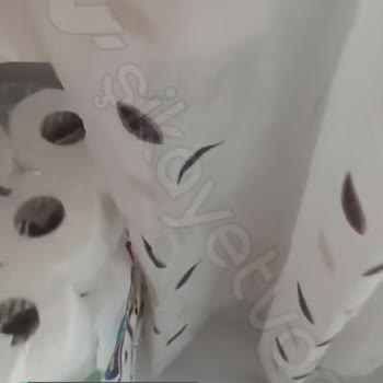 Maylo Beni Hayal Kırıklığına Uğrattı!