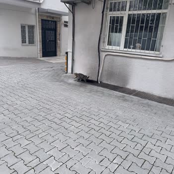 Eki aç