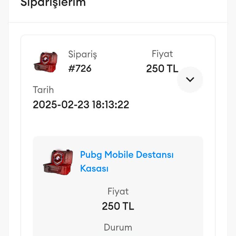 PUBG Mobile Hesap Giriş Sorunu