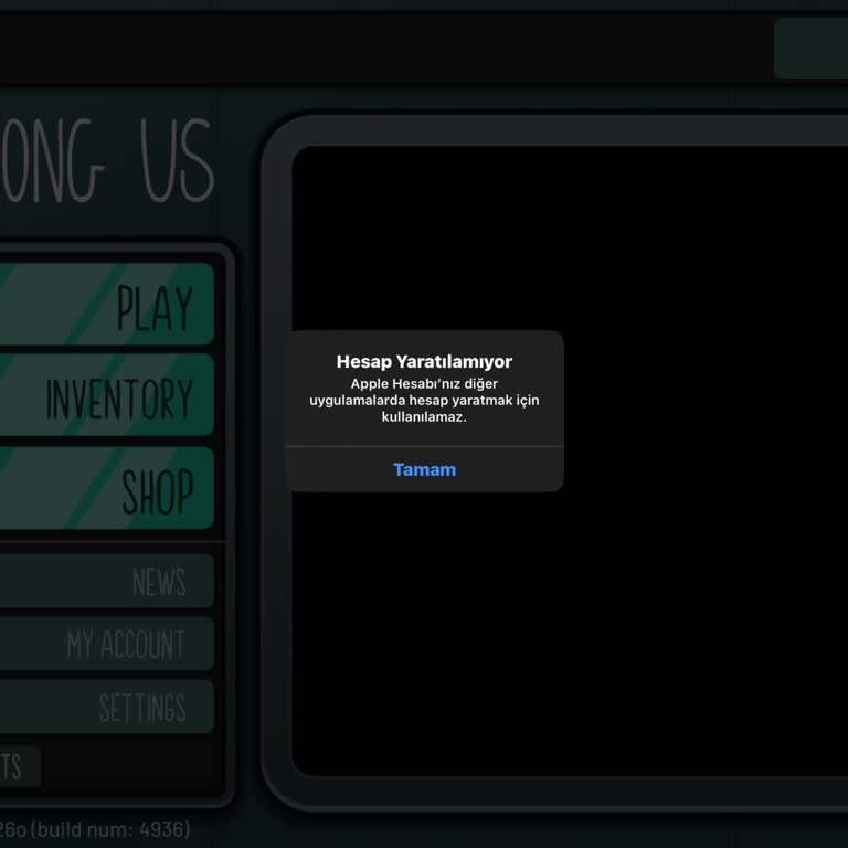 Among Us Oyununda Hesap Yaratma Sorunu