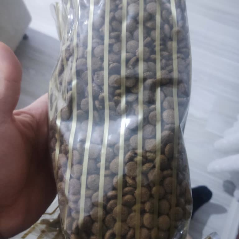 Kedimin Mama Tercihi: Royal Canin Ürünü Orijinal Mi?