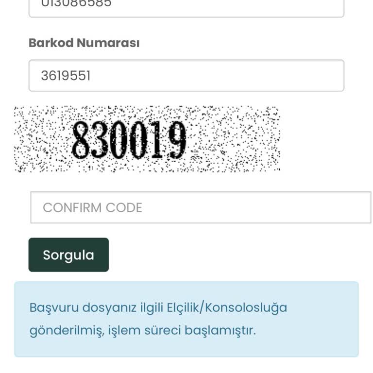 Vize Başvuru Sürecindeki Gecikme Mağduriyeti