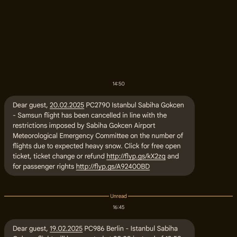 Pegasus İle Seyahat: İptaller Ve Kaos