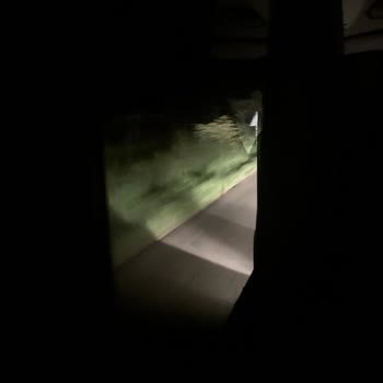 Ejder Turizm İle Madagaskar Turu Kabusu