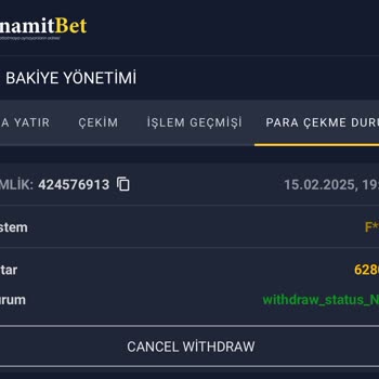 Kazanç Sağladım Ama Hesabım Kilitlendi Ve Ödeme Yapılmadı