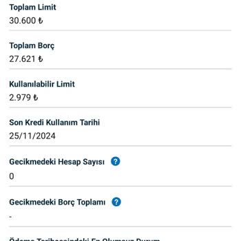 Düzenli Ödemelere Rağmen Düşen Kredi Puanı Sorunu