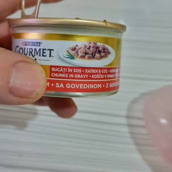 Yanlış Ürün Gönderimi: Gurme Mama Yerine Yaş Mama