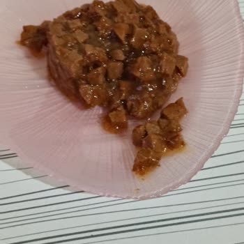 Yanlış Ürün Gönderimi: Gurme Mama Yerine Yaş Mama