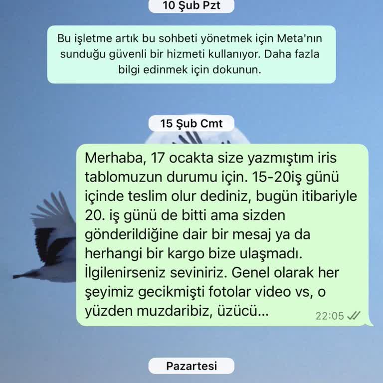Profesyonellikten Uzak Hizmet Ve Sürekli Ertelemeler