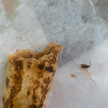 Tavuk Dürümde Böcek Şoku: Sağlığımız Tehlikede!