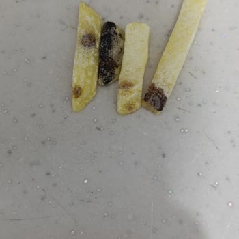 BİM'den Alınan Dondurulmuş Patateslerde Çürüme Sorunu