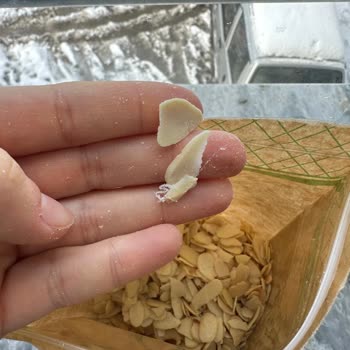 Kalitesiz Ürün Ve Yetersiz Müşteri Hizmeti