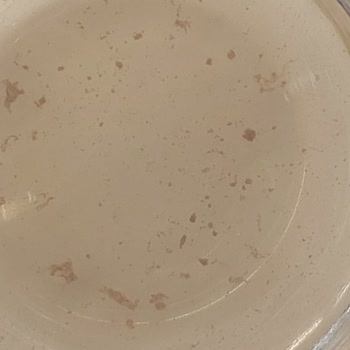 Bay Bay Night İçindeki Tortular Nedir?