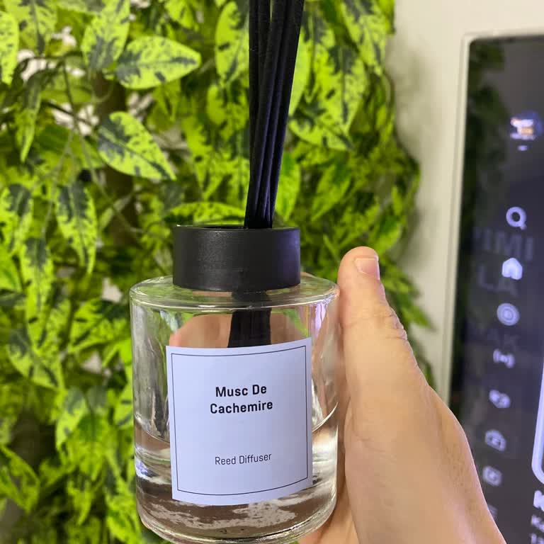 Madame Coco Oda Kokusu: Beklentileri Karşılamayan Hayal Kırıklığı