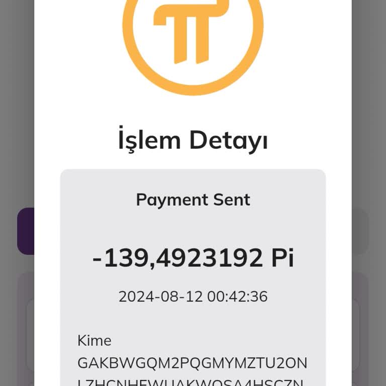 Pi Network Hesabında Yetkisiz İşlem Ve Pi Coin Kaybı