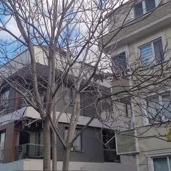 Ataşehir Belediyesi Ağaç Köklerinden İstimlak Duvarın Yıkılma Riski!