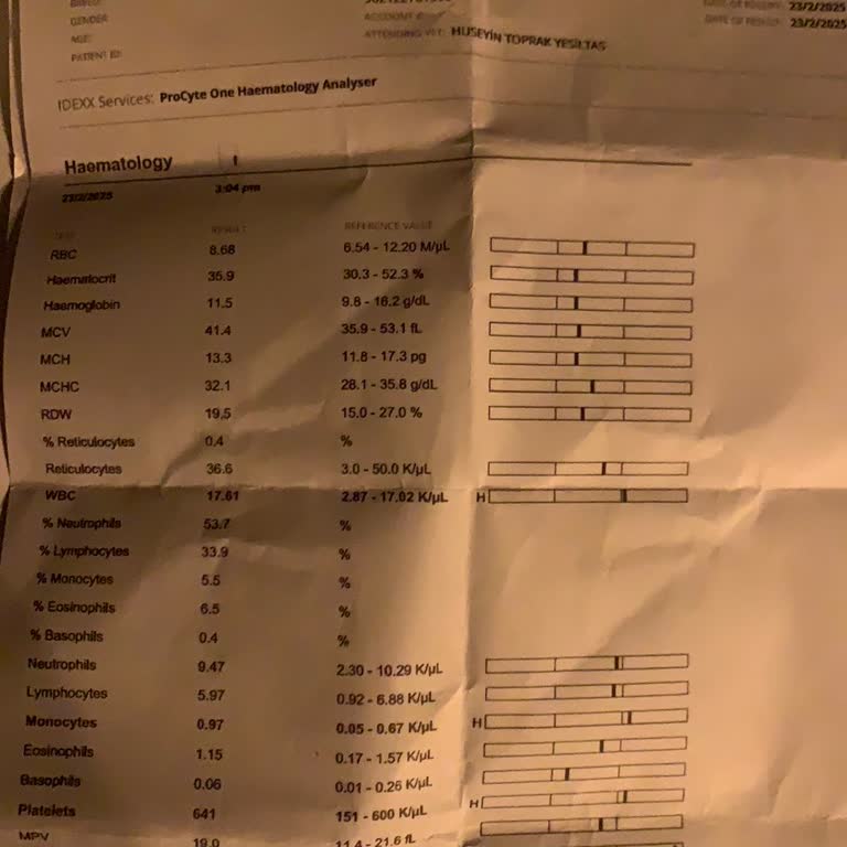 Veteriner Kliniğinde Hayvan Sağlığı Yerine Ticaret Önceliği