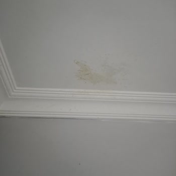 Kefirix Kefir Patlaması Ve Kötü Koku Sorunu