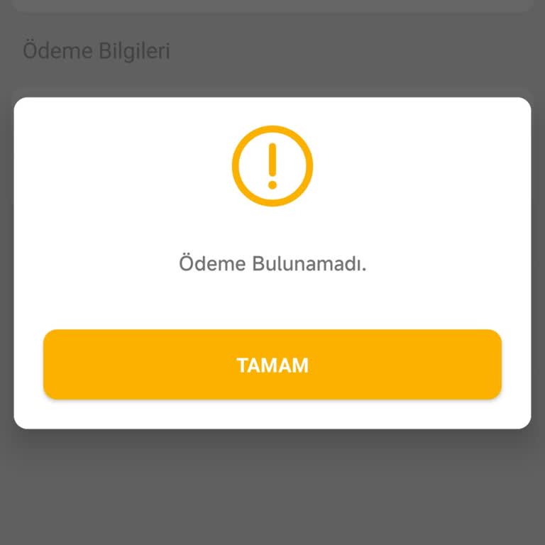 SRC Belgesi İşleminde Yaşanan Gecikme Ve Mağduriyet