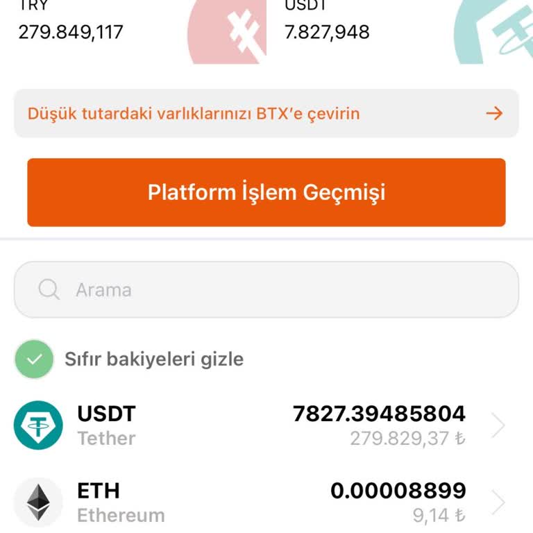 Hesap Erişimi Sorunu: Doğrulama Engeli