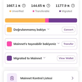 Pi Coin Güvenlik Endişesi