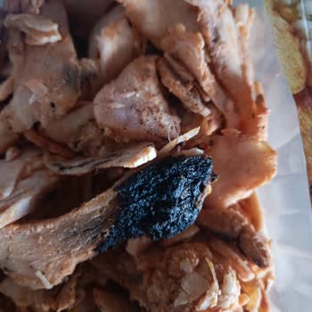 Gedik Piliç Yanık Ve Yabancı Maddelerle Dolan Tavuk Döner Hayal Kırıklığı