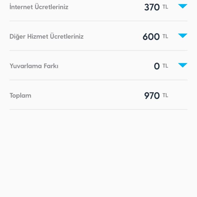 Sürekli İnternet Kopmaları Ve Çözülmeyen Arızalar
