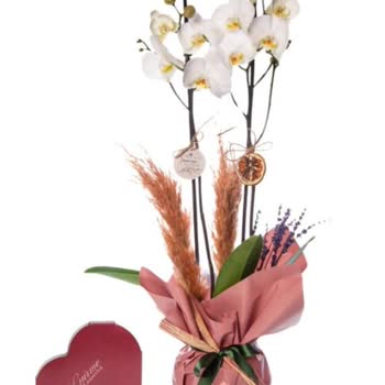 Yanlış Ürün Gönderimi Ve İade Süreci Sorunu