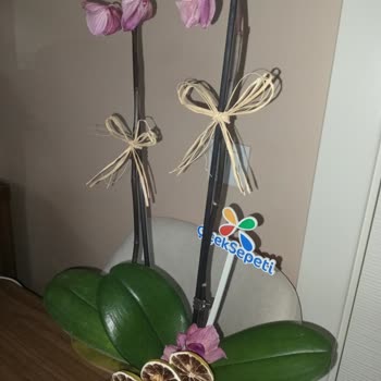 Canlı Çiçek Siparişi Sorunu