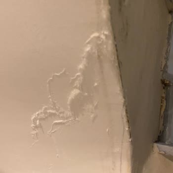 Anadolu Sigorta'nın Hasar Talebini Haksız Reddetmesi