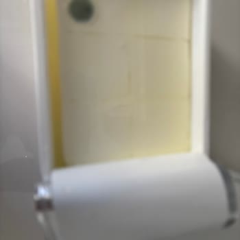 Taze Alınan Peynirin Küflenmesi Şoku