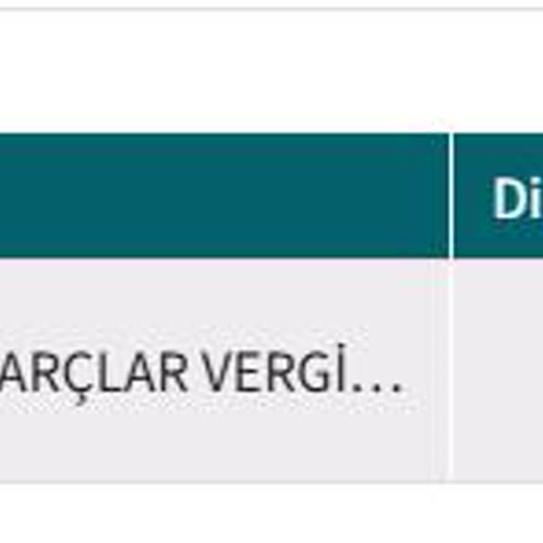 Soyadı Değişikliği Sonrası Pasaport Harcı Sorunu