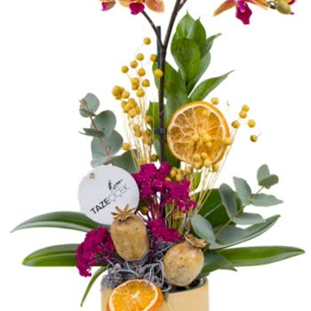 Kırık Saksı Ve Özensiz Çiçekle Hayal Kırıklığı